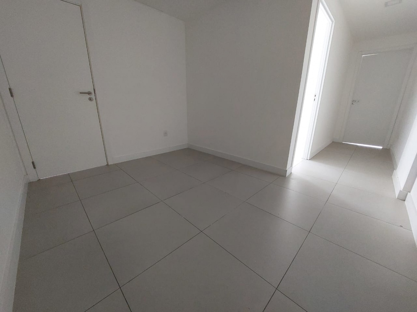fl1.jpg