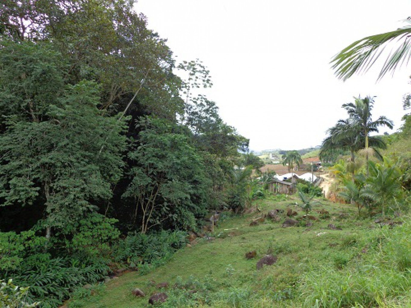 Terreno, Chácara, Sítio com 100 mil m², terreno escriturado em Massaranduba, dinamica sul, imobiliaria em blumenau, terreno a venda