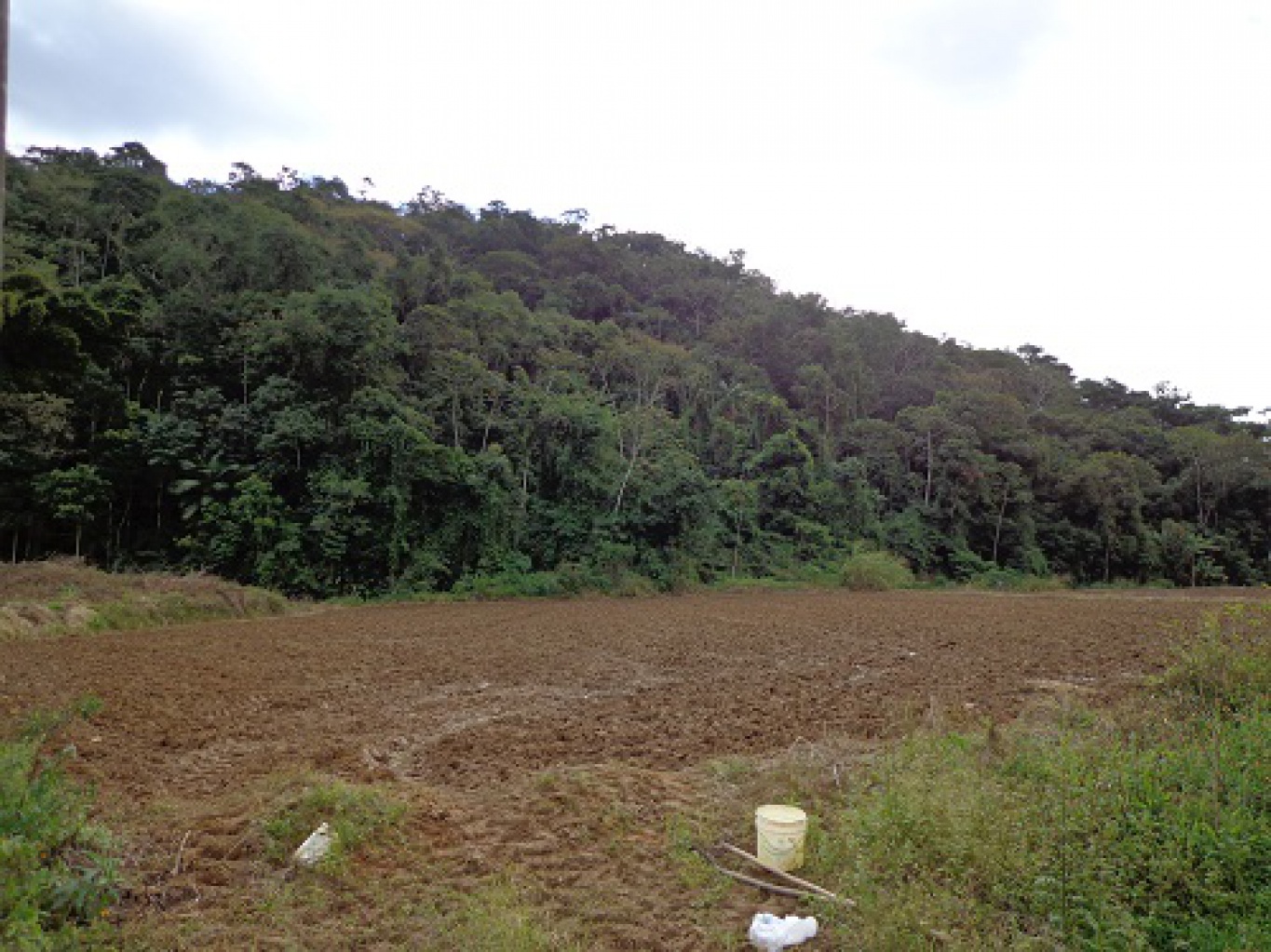 Terreno, Chácara, Sítio com 100 mil m², terreno escriturado em Massaranduba, dinamica sul, imobiliaria em blumenau, terreno a venda
